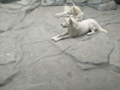 -聊城海底世界