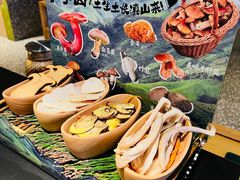 -季季山•云南野生菌火锅(上海首店)