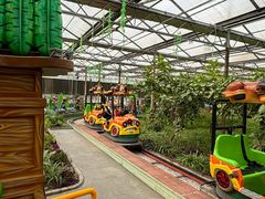 -南宫五洲植物乐园