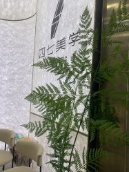 -Four Seven·半永久纹眉