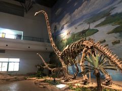 -自贡恐龙博物馆