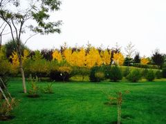 -皇家田广场(อนุสาวรีย์ทหารอาสา)