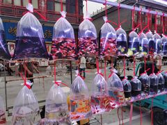 -华声天桥民俗文化园