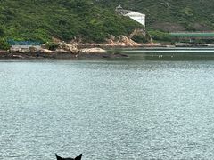 -南丫岛