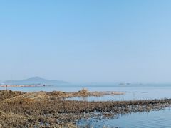 -苏州太湖湖滨国家湿地公园