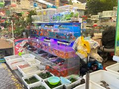 -曲阳花鸟市场(曲阳路店)