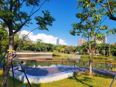 -四海公园(南山区)