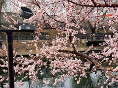 -安定门(地铁站)