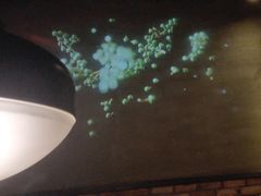 -匠子烤鱼(桫椤湾店)