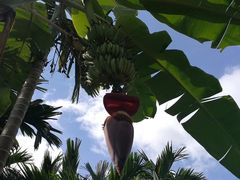 -红色娘子军纪念园