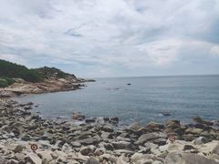 -广东惠东海龟国家级自然保护区