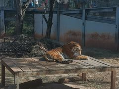 -昆明动物园