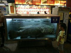 android_upload_pic-御唐府海珊瑚主题餐厅