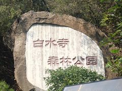 -白水寺森林公园