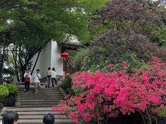 -乌山风景区