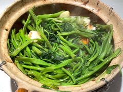 虾酱嗜通心菜-煲煲好(朝阳门店)