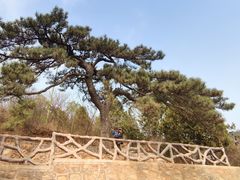 -北京西山国家森林公园