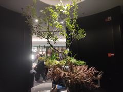 -金春禧(世茂国际广场店)