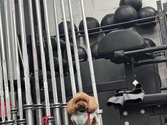 -CrossFit MET综合体能训练馆(朝阳路店)