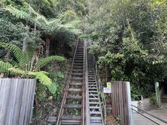 -悉尼蓝山三姐妹峰