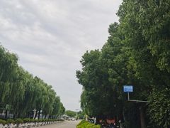 -胜华驾校·小猫学车(银都店)