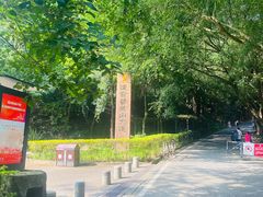 -大屏嶂森林公园