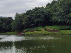 -深圳国际园林花卉博览园