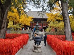 -红螺寺