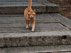 -崂山巨峰游览区