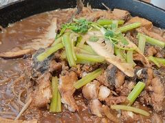 -老板恋上鱼(恒隆广场店)