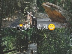 -草庵摩尼教遗址公园