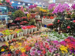 -双季花艺园艺市场(浦东店)