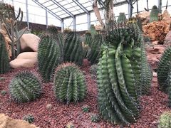 -南通洲际绿博园