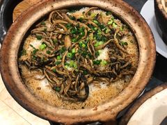 -优之名鹅城