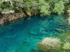 -叠溪松坪沟景区
