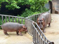 -济南野生动物世界