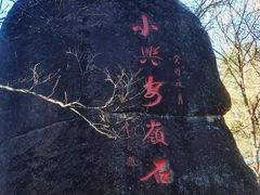 -汤旺河林海奇石景区