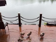 -上海怡沁园度假酒店