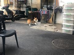 -红旗大食堂(君悦紫园店)
