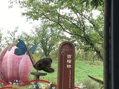 -东平国家森林公园