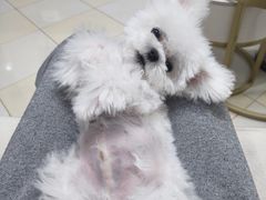 -它主义宠物(梁溪万达店)