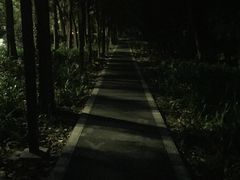 小区周边路况-深圳东方银座酒店