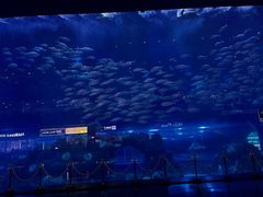 -成都浩海立方海洋公园