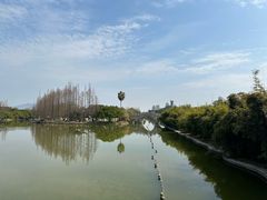 -江心屿景区