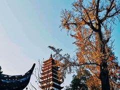 -宝光寺
