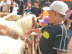 -昆明动物园
