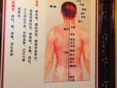 -莱仪堂艾灸经络养生馆(武威东路店)
