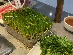 -海底捞火锅(新松江路店)