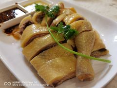 -巫记鸡饭店