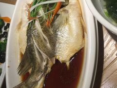 -小菜园新徽菜(蚌埠蚌山万达店)